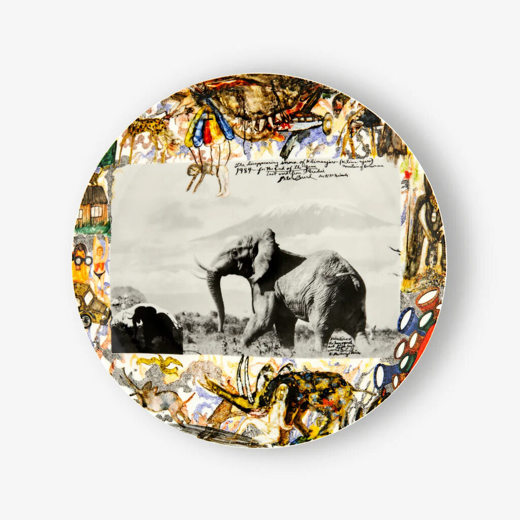 Peter Beard - Snows of Kilimanjaro, 1984, 2022 - Pinto Gallery