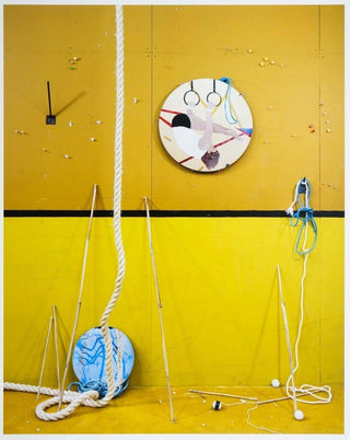 Reflection, 2016-Anne Hardy-Pinto Gallery