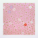Sakura, 2025