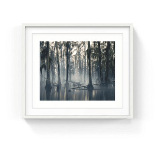 Spanish Moss, Louisiana, USA, 1997, 2013-Nadav Kander-Pinto Gallery