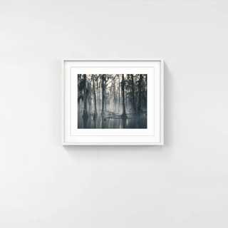 Spanish Moss, Louisiana, USA, 1997, 2013-Nadav Kander-Pinto Gallery