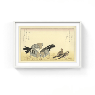 Sparrows and Doves, After 1792-Kitagawa Utamaro-Pinto Gallery