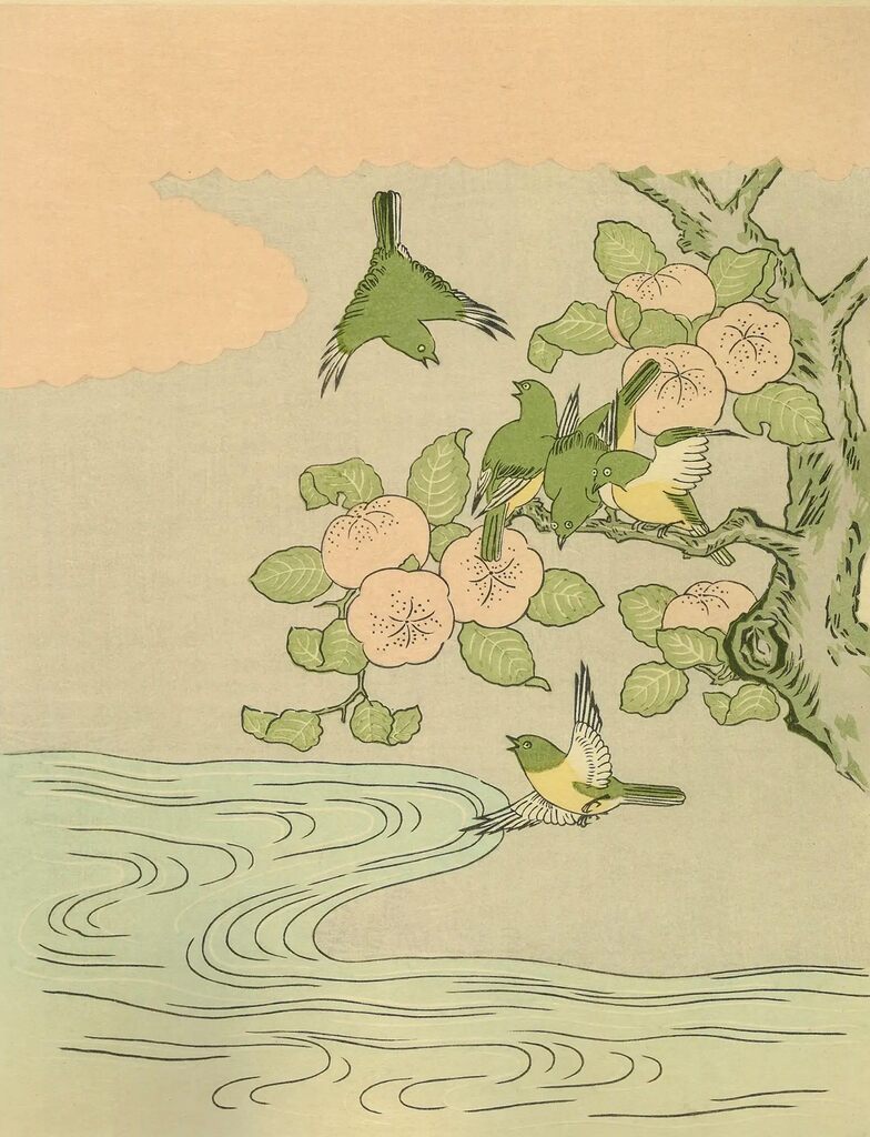 Suzuki Harunobu - Mandarin Orange and white-eyes, After 1765 - Pinto Gallery