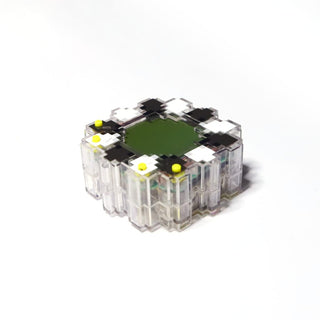 Takashi Murakami - Flower Go Walk / Black x White (Body Color: Clear), 2022 - Pinto Gallery