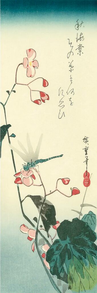 Utagawa Hiroshige (Andō Hiroshige) - Begonia and Dragon-fly, After 1832 - Pinto Gallery