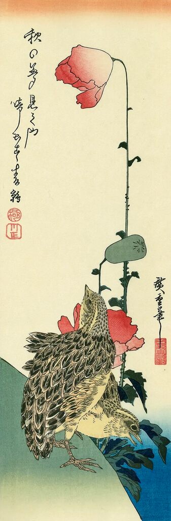 Utagawa Hiroshige (Andō Hiroshige) - Poppies and Quails, After 1832 - Pinto Gallery