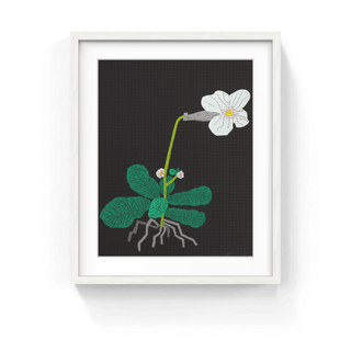 White Flower with Grid, 2024-Jonas Wood-Pinto Gallery