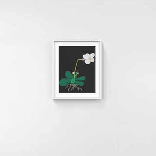 White Flower with Grid, 2024-Jonas Wood-Pinto Gallery