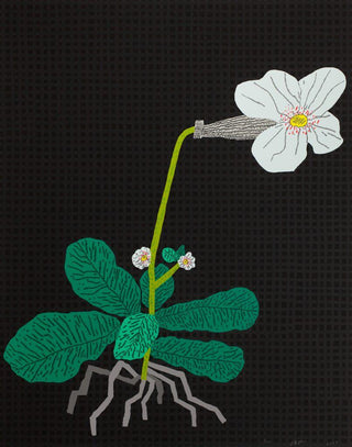 White Flower with Grid, 2024-Jonas Wood-Pinto Gallery