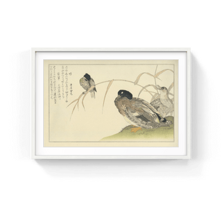 Wild Duck and Kingfisher, After 1792-Kitagawa Utamaro-Pinto Gallery