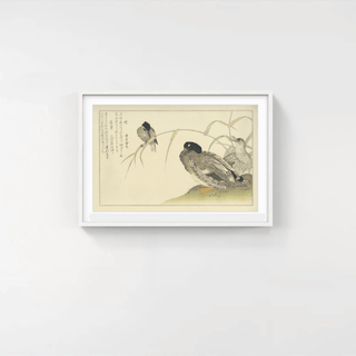 Wild Duck and Kingfisher, After 1792-Kitagawa Utamaro-Pinto Gallery