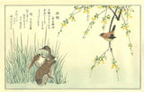 Wren and Snipes, After 1792