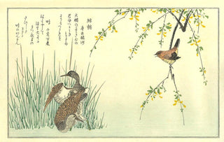 Wren and Snipes, After 1792-Kitagawa Utamaro-Pinto Gallery