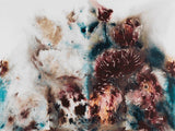Yin-Yang Peonies, 2019
