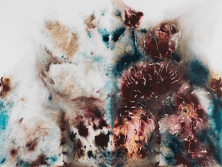 Yin-Yang Peonies, 2019-Cai Guo-Qiang-Pinto Gallery