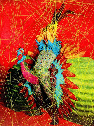 annoyingly vulgar? amorously fatal?, 2011-assume vivid astro focus-Pinto Gallery