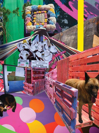 dogs' palettes, 2012-assume vivid astro focus-Pinto Gallery