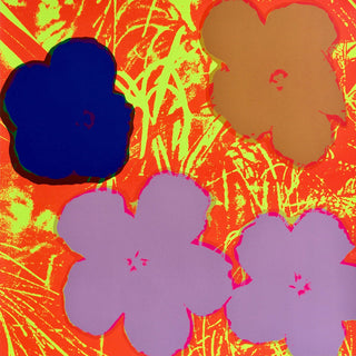 Andy Warhol - Flowers 11.69, 1967 printed later - Pinto Gallery