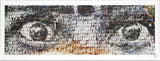 Eyes on bricks, New Delhi, Inde, 2009, 2011