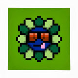 Murakami.Flower #10397 Brown Sunglasses, 2023