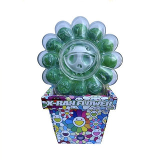 X-Ray Flowers (Marbled Green), 2023-Takashi Murakami-Pinto Gallery